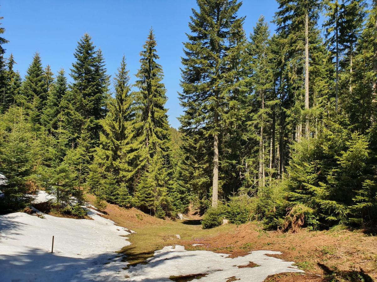 Zlatar Luxury Chalet - Trace Of Nature 2214 โนวาวาโรช ภายนอก รูปภาพ