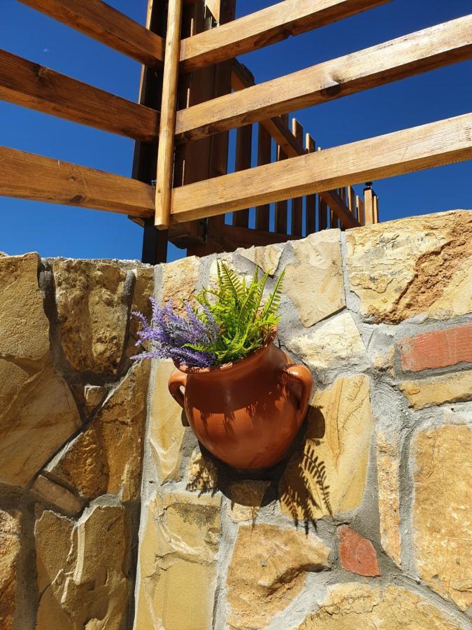 Zlatar Luxury Chalet - Trace Of Nature 2214 โนวาวาโรช ภายนอก รูปภาพ