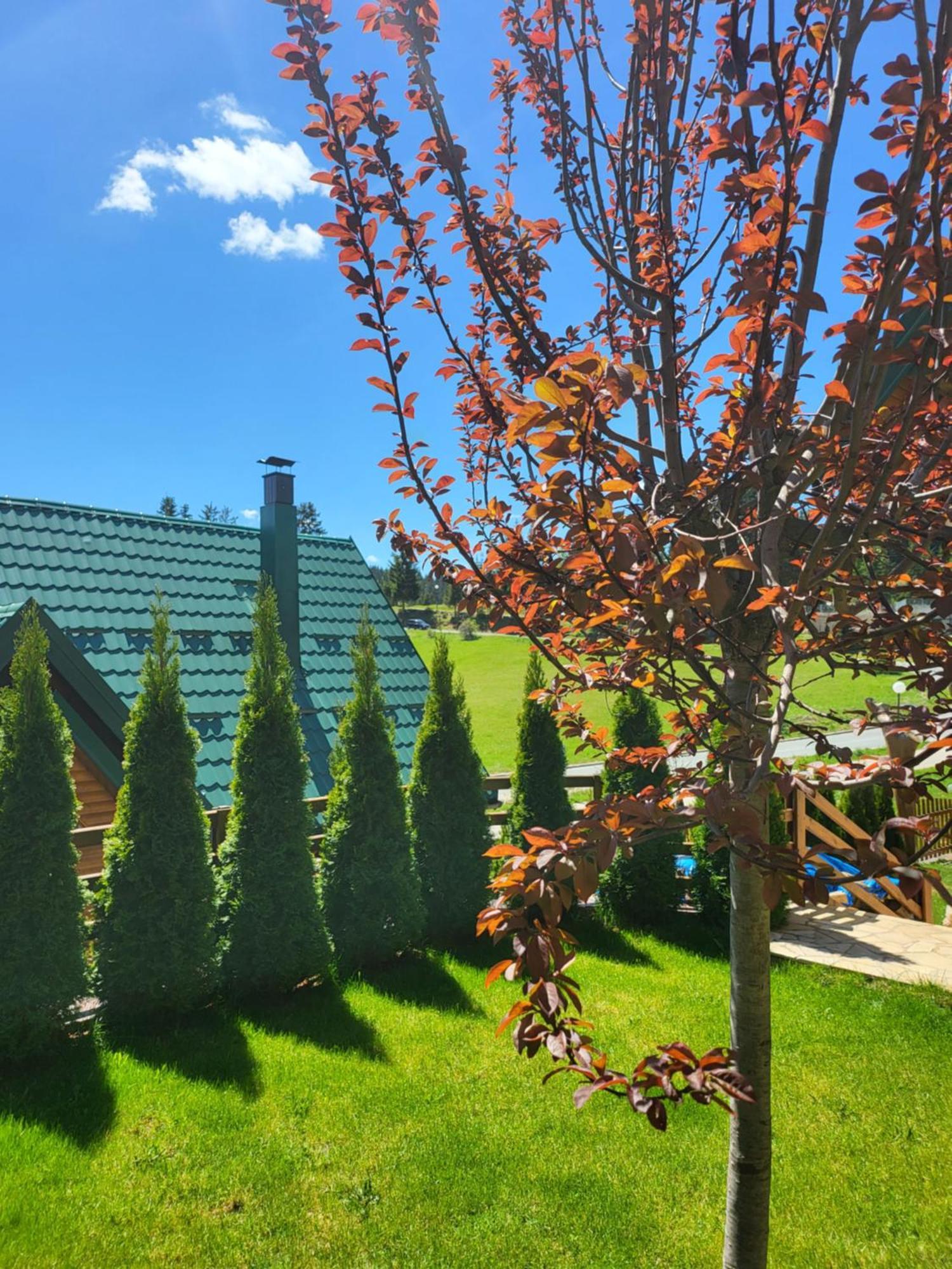 Zlatar Luxury Chalet - Trace Of Nature 2214 โนวาวาโรช ภายนอก รูปภาพ