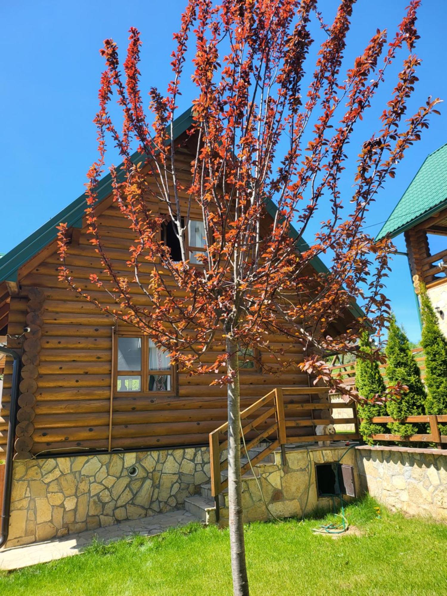 Zlatar Luxury Chalet - Trace Of Nature 2214 โนวาวาโรช ภายนอก รูปภาพ